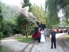 Eine Hochzeitsgesellschaft bei der obligen Fotosession mit der Baumschulbahn