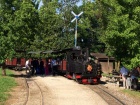 Die Taxus ist mit einem Hochzeitsextrazug im Bahnhof Baumschulsee eingetroffen [9. Juli 2016]