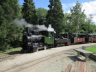 Der Zug mit Molly und Taxus beim Halt im Bahnhof Baumschulsee [16. August 2014]