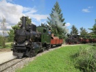 Die Taxus hat im Hintergrund zum Zug der Molly aufgeschlossen [16. August 2014]