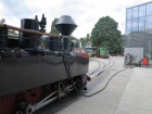 Taxus und Azalea stehen mit ihren Zügen im Hauptbahnhof bereit [30. August 2014]