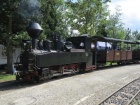 Die Taxus beim Zwischenhalt im Bahnhof Baumschulsee [30. August 2014]