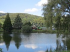 Die Azalea bringt eine Hochzeitsgesellschaft an den Baumschulsee [30. August 2014]