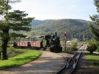 Die Molly trifft mit dem leeren Zug wieder im Bahnhof Baumschulsee ein [28. September 2014]