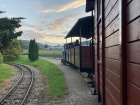 Blick aus dem Fakultativwagen während der Fahrt durch die Baumschule [1. August 2021]