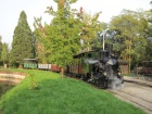 Die Molly ist mit den leeren Wagen im Bahnhof Baumschulsee eingetroffen [4. Oktober 2014]