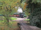 Blick durch den Blätterwald auf den Bahnhof Baumschulsee [11. Oktober 2014]