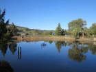 Der Baumbestand rund um den See hat sich weiter gelichtet [18. Oktober 2014]