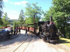 Für eine kleine Gruppe wird ein Zwischenhalt im Bahnhof Baumschulsee eingelegt [4. Juli 2020]