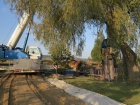 Die Spundwände werden direkt neben einen Baum gesetzt [28. Oktober 2014]