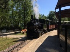 Die Molly hat im Bahnhof Baumschulsee den obligaten Zwischenhalt eingelegt [27. Mai 2017]