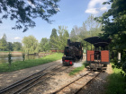 Die Pinus rangiert im Bahnhof Baumschulsee [13. August 2021]