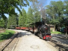 Zwischenhalt im Bahnhof Baumschulsee [25. August 2019]