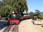 In der Abendsonne wartet die Sequoia auf die Fahrt an den Baumschulsee [8. August 2020]