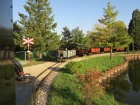 Die beiden Dampfzüge fahren hintereinander in den Bahnhof Baumschulsee ein [13. Oktober 2019]