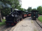 Die Taxus legt im Bahnhof Baumschulsee den obligaten Zwischenhalt ein [23. Juli 2016]