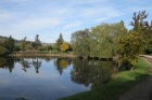 Herbststimmung am Baumschulsee [19. Oktober 2013]