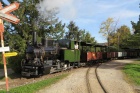 Ausfahrt aus dem Bahnhof Baumschulsee bei schönstem Herbstlicht [19. Oktober 2013]