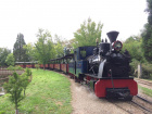 Die Sequoia hat im Bahnhof Baumschulsee ihren Zug bereitgestellt [6. September 2020]