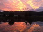 Abendstimmung über dem Baumschulsee [9. Juni 2017]