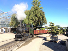 Bei strahlendem Herbstwetter wartet die Molly im Hauptbahnhof auf die Abfahrt [3. Oktober 2020]