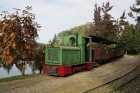 Die Azalea wird für umfangreiche Rangierarbeiten im Bahnhof Baumschulsee genutzt [26. Oktober 2013]