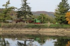 Die Azalea spiegelt sich im Baumschulsee [26. Oktober 2013]