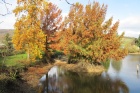 Der Wasserspiegel vom Baumschulsee wurde noch ein wenig weiter abgesenkt [2. November 2013]