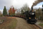 Die Molly ist mit dem 9-Wagen-Zug im Bahnhof Baumschulsee eingetroffen [30. November 2013]