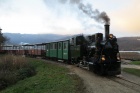 Die Molly fährt nach der Probefahrt die Wagen wieder in den Bahnhof Baumschulsee [30. November 2013]