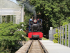 Die Sequoia fährt über den Bahndamm zur grossen Brücke [15. August 2020]