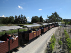 Der lange Zug fährt hinauf zum Kompostplatz [15. August 2020]