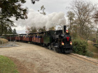 Der Dampfzug fährt durch den Baumschulpark [27. November 2021]