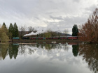 Zug und Landschaft spiegeln sich im Baumschulsee [27. November 2021]