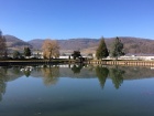 Die Landschaft spiegelt sich im Baumschulsee [16. Februar 2019]