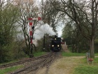 Die Molly fährt über die kleine Brücke hinunter zum Bahnhof Baumschulsee [14. April 2019]