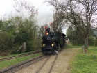 Einfahrt in den Bahnhof Baumschulsee [14. April 2019]