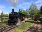 Rangieren im Bahnhof Baumschulsee [28. April 2019]