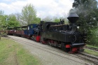 Beim letzten Zug des Tages leistet die Taxus der Sequoia Vorspann [5. Mai 2013]