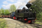 Beim letzten Zug des Tages leistet die Taxus der Sequoia Vorspann [5. Mai 2013]