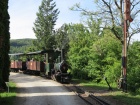 Die Emma bei der Einfahrt in den Bahnhof Baumschulsee [10. Mai 2014]