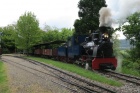 Die Sequoia stellt im Abstellgleis vom Bahnhof Baumschulsee ihren Zug zusammen [25. Mai 2013]