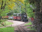 Die Molly durchfährt den Bahnhof Baumschulsee [17. Mai 2014]