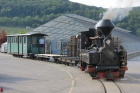 Die Taxus, die beiden Brigadewagen R 301 und R 302 sowie der geschlossene Wagen B 261 stammen alle von der WEM [15. Juni 2013]