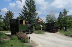 Treffen von Molly und Taxus beim Baumschulsee [7. Juli 2013]