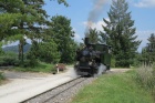 Auf Rundfahrt um den Baumschulsee [7. Juli 2013]