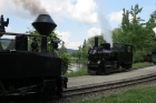 Taxus und Molly treffen sich im Bahnhof Baumschulsee [7. Juli 2013]