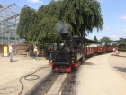 Die Taxus ist mit ihrem Zug wieder im Hauptbahnhof eingetroffen [13. Juli 2019]