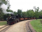 Der sehr einheitliche Zug beim Zwischenhalt im Bahnhof Baumschulsee [28. Juli 2019]