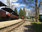 Die Opalinus rangiert im Bahnhof Baumschulsee [16. April 2021]